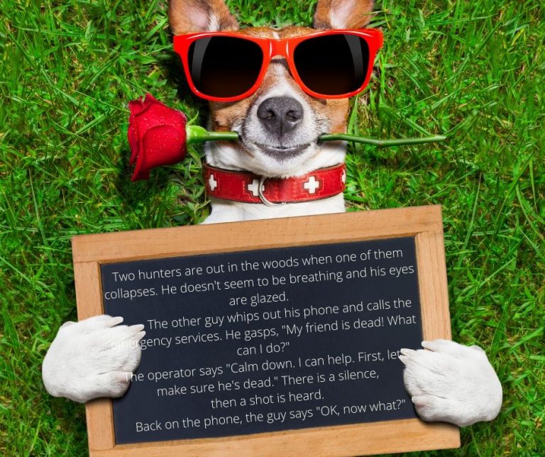 Voted as best joke in the world