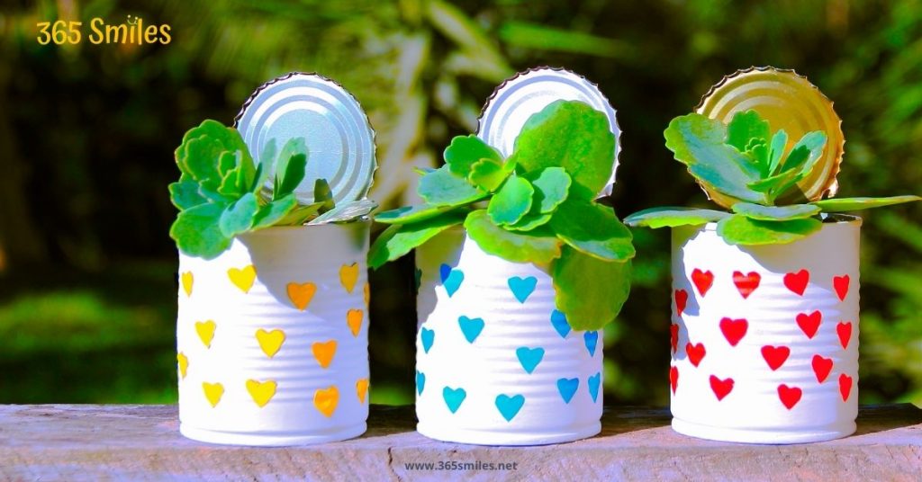 Reuse packaging material